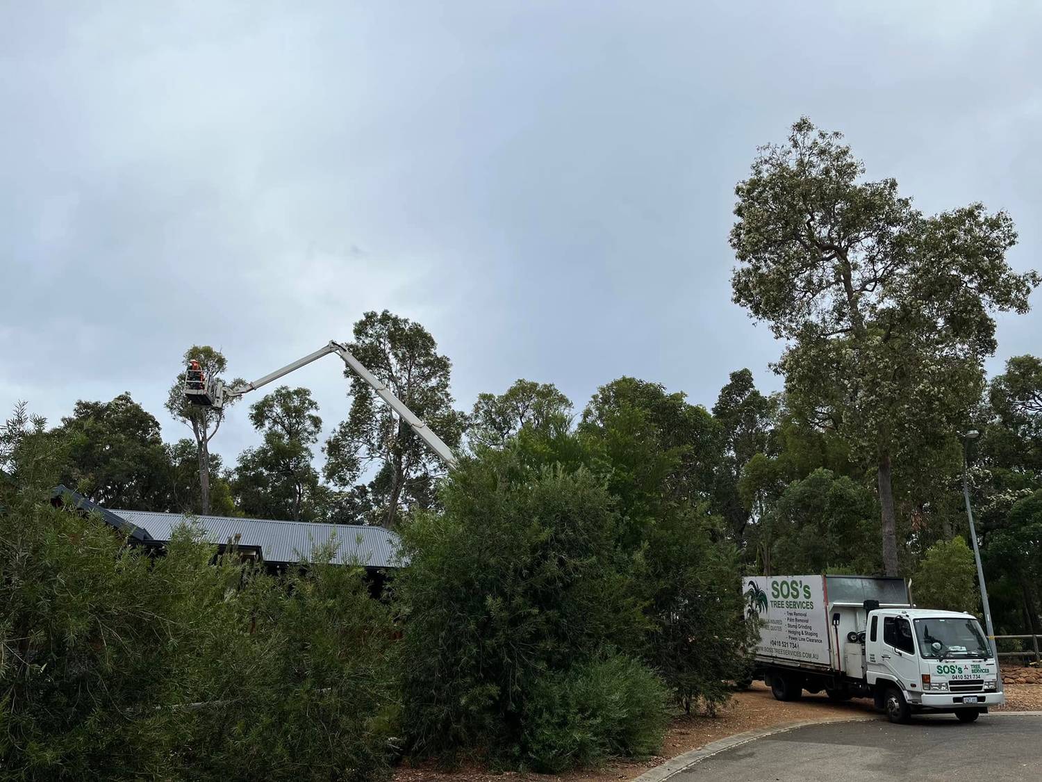 SOS'S elevated work platform and truck working a tall gum in the Perth hills