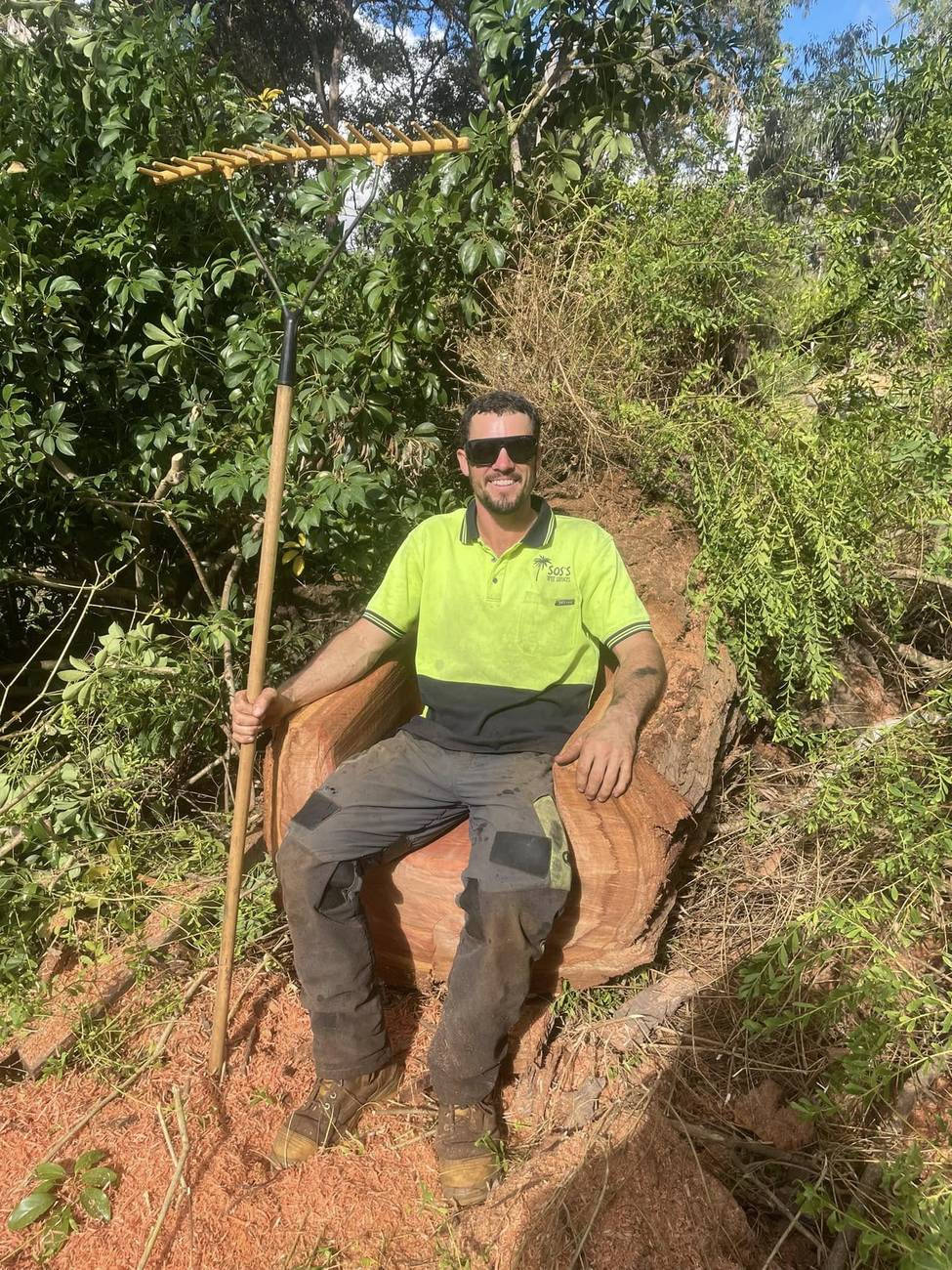 Reece from SOS'S Tree Services sitting in an armchair cut from a felled tree trunk