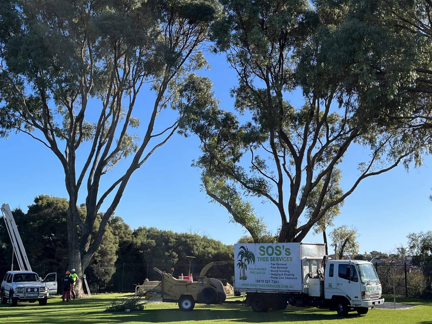 SOS'S Tree Services truck and wood chipper on site under mature eucalypts